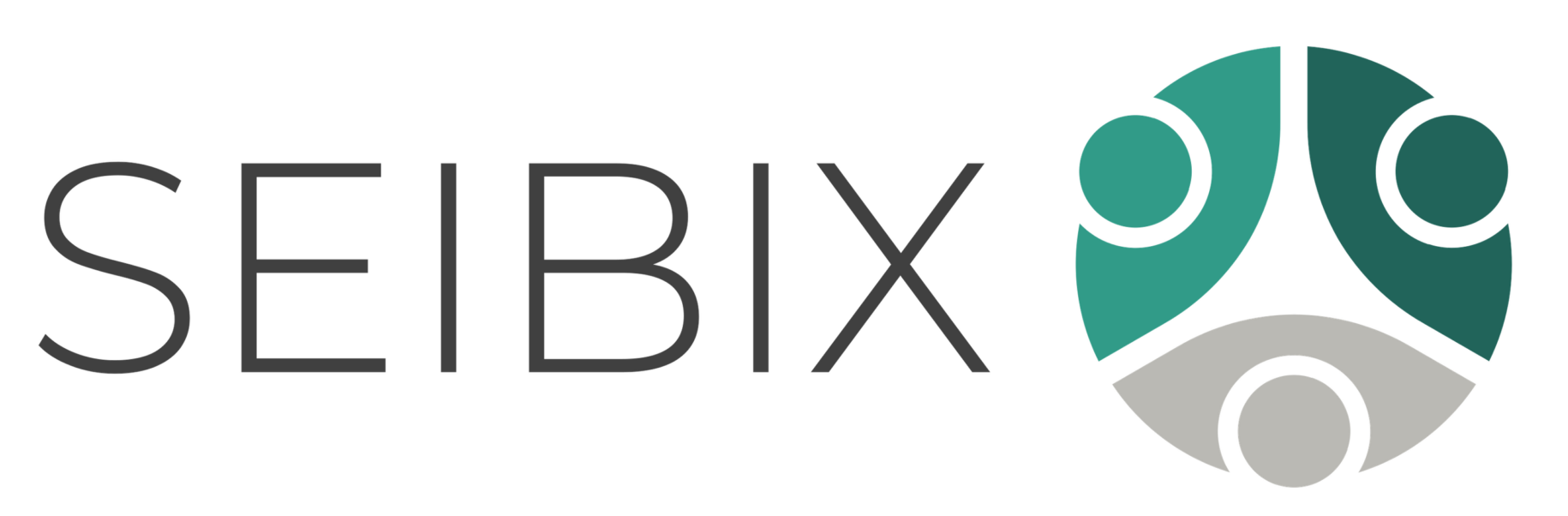 Logotipo de SeibiX